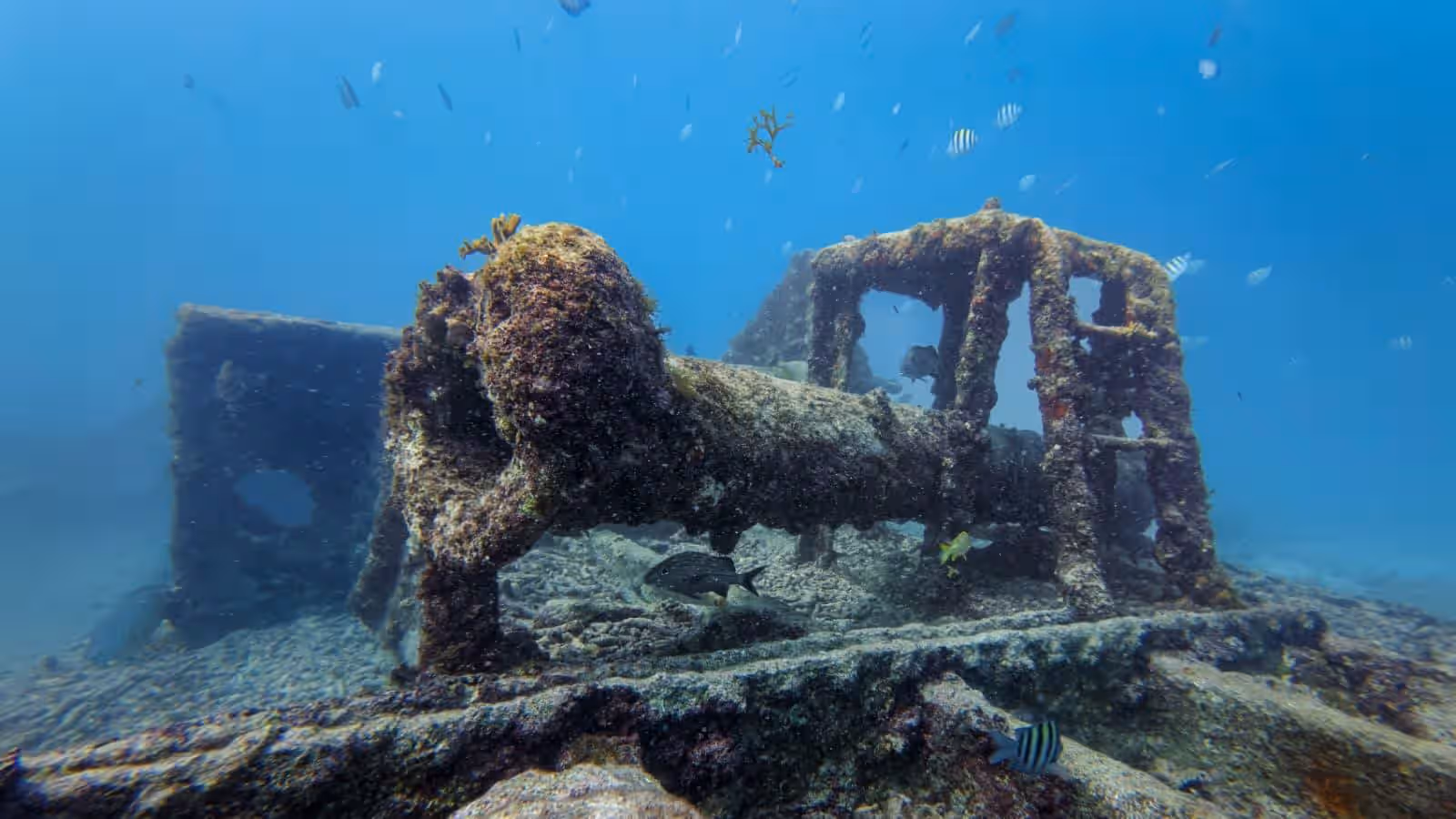 An underwater photo showing several parts of the SS Pedernales wreck