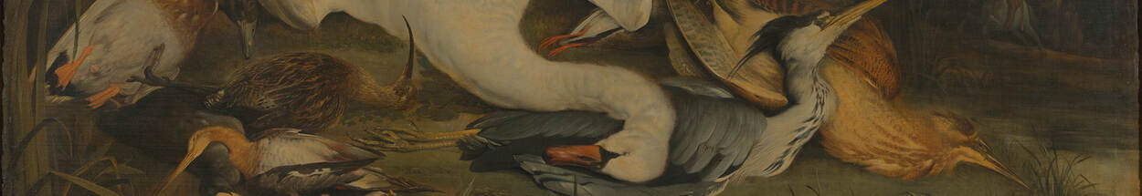 Schilderij van JJ de Wet - Zwaan, aalscholver en andere dode vogels in een landschap