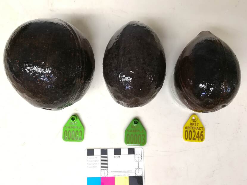 Three intrusive nineteenth century coconuts found on the wreck site