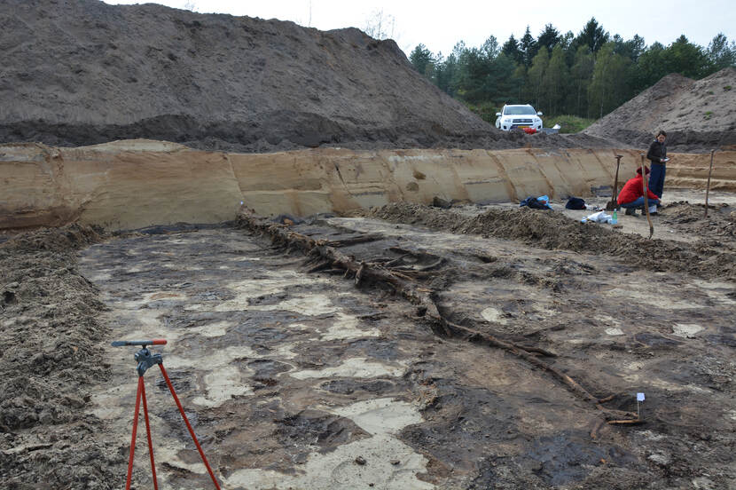 Subfossil forest Leusden, photo of excavation